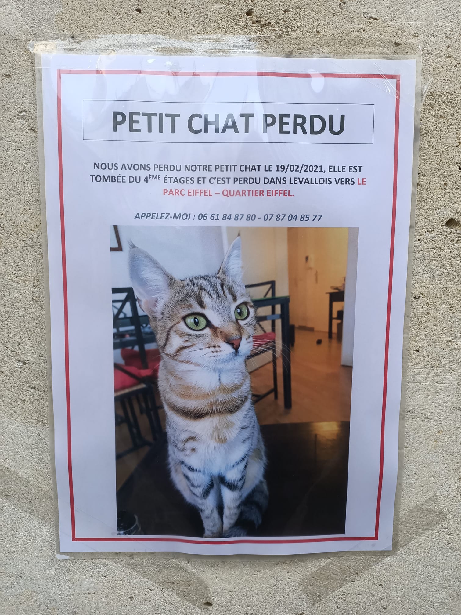 Chat perdu à levalloisperret, aidons ces proprietaires. Faites tourner